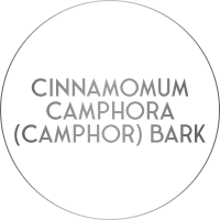 cinnamomum camphora bark