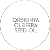 orbignya oleifera seed oil