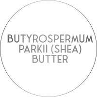 butyrospermum parkII shea butter