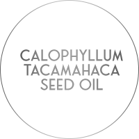 calophyllum tacamahaca seed oil